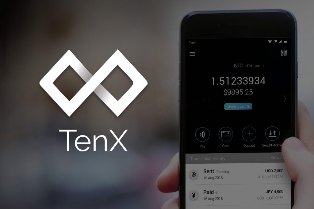 Beginner’s Guide to TenX