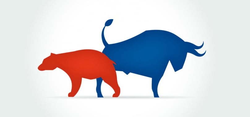 Bears & Bulls