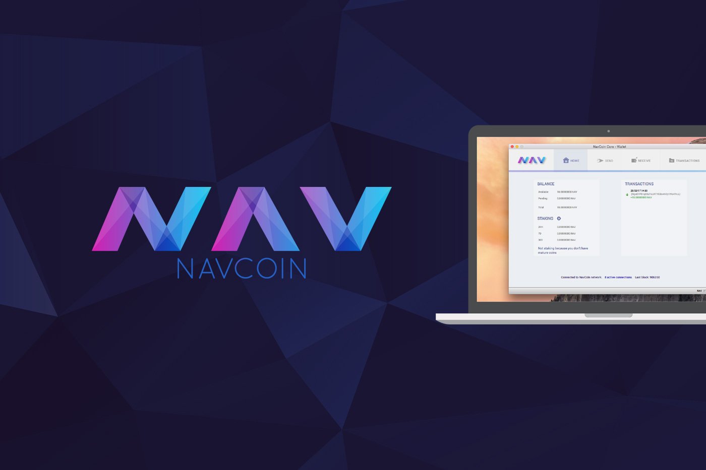 Nav Coin Guide