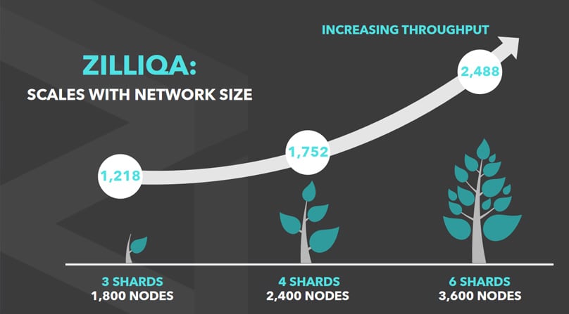 Zilliqa Scaling