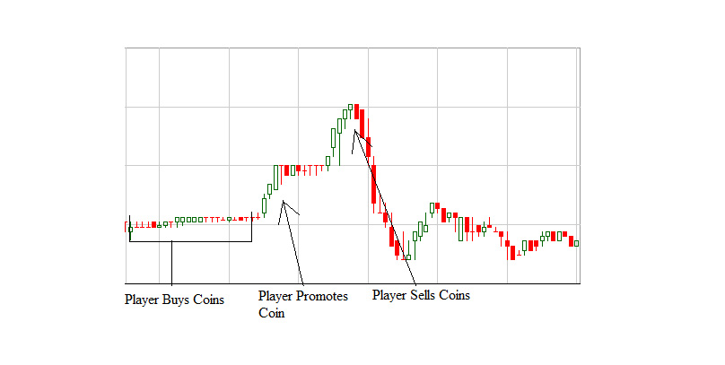Pump Dump Graph