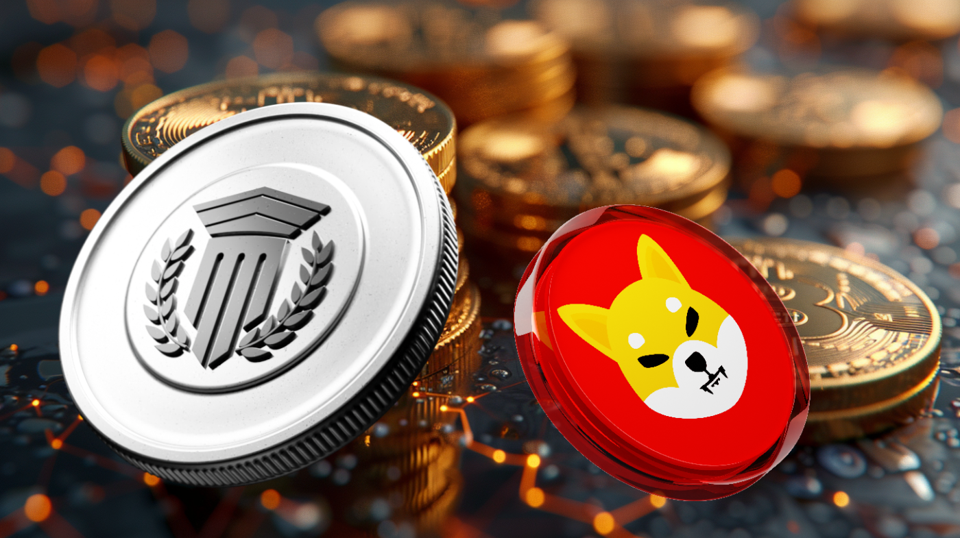 Mutuum Finance