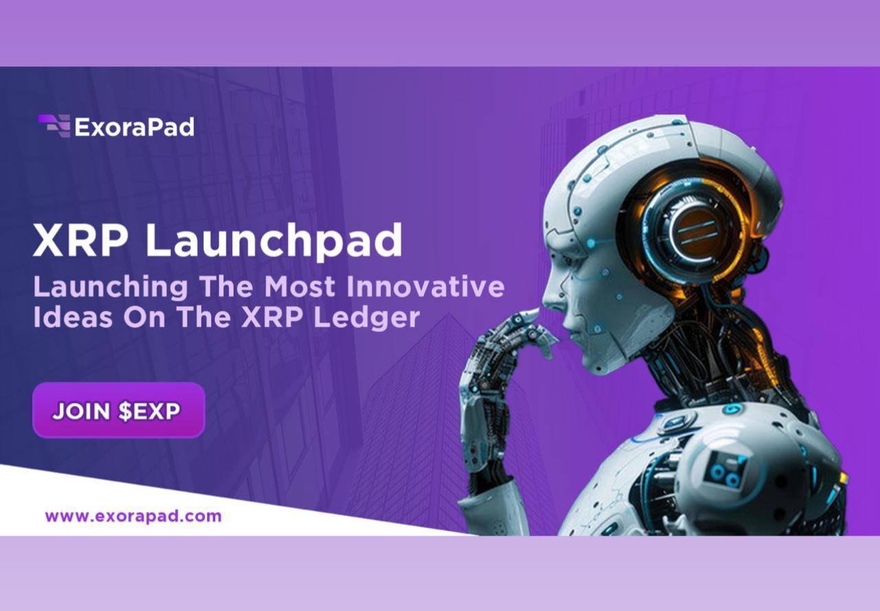 XRP Investors